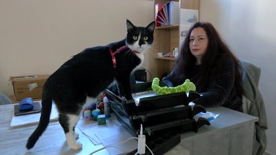У Черкасах скасують виплати переселенцям. У чому причина У Черкасах скасують виплати переселенцям. У чому причина