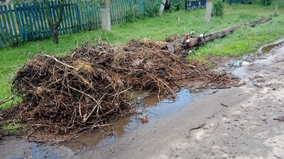 "Якщо виживе, то літати не зможе". У Верблюжці під час демонтажу стовпа випали лелеченята "Якщо виживе, то літати не зможе". У Верблюжці під час демонтажу стовпа випали лелеченята