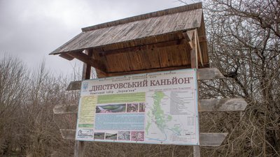 На Тернопільщині облаштували спуск біля водоспаду На Тернопільщині облаштували спуск біля водоспаду