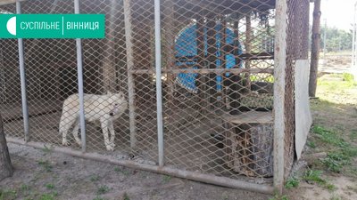 У вінницькому зоопарку будуть вольєри для полярних вовків та рисей