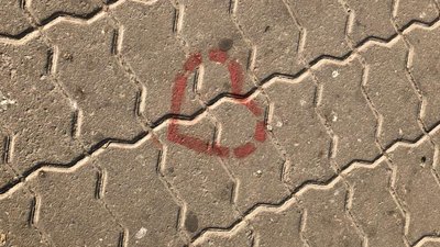 В Івано-Франківську урочисто підняли знамено