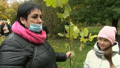 У Луцьку родини загиблих військових висадили 50 іменних кленів У Луцьку родини загиблих військових висадили 50 іменних кленів