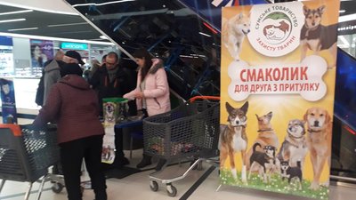 Смаколики для безпритульних тварин збирали волонтери у Сумах