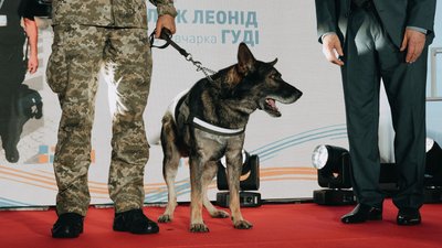 Волинський прикордонник та його службовий пес Гуді отримали нагороду за службу Волинський прикордонник та його службовий пес Гуді отримали нагороду за службу