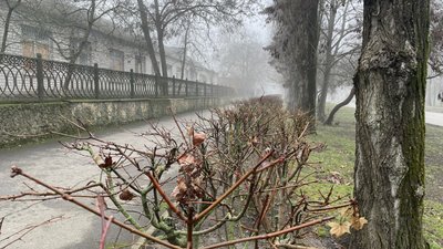 Херсон, погода, природа, зима