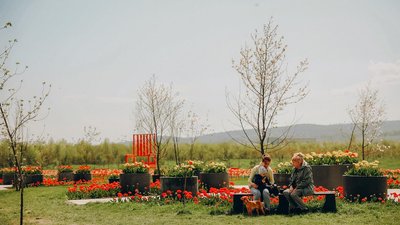 Тюльпанове поле на Буковині відкрили для відвідувачів – що нового цьогоріч Тюльпанове поле на Буковині відкрили для відвідувачів – що нового цьогоріч