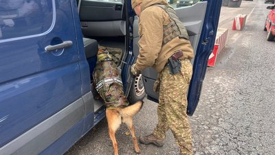 Кінолог і пес перевіряють авто на блокпосту на в'їзді у Харків