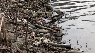 Вперше після повномасштабного вторгнення РФ: в парку Ялівщина у Чернігові провели колективну толоку Вперше після повномасштабного вторгнення РФ: в парку Ялівщина у Чернігові провели колективну толоку