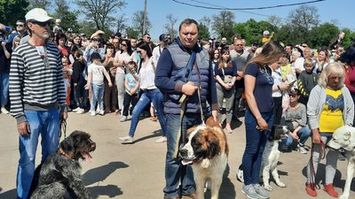 Афганська борза, великий вандейський грифон, ріджбек. У Кропивницький приїхали позмагатися понад 300 собак Афганська борза, великий вандейський грифон, ріджбек. У Кропивницький приїхали позмагатися понад 300 собак
