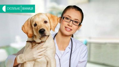 У Вінниці ветеринари безкоштовно оглядають домашніх улюбленців