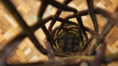"Потрібно 24 прутики": на Вінниччині чоловік плете декоративні дерева із вербових гілок "Потрібно 24 прутики": на Вінниччині чоловік плете декоративні дерева із вербових гілок