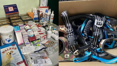 Для тварин Луцького та Черкаського зоопарків привезли гуманітарну допомогу з Німеччини Для тварин Луцького та Черкаського зоопарків привезли гуманітарну допомогу з Німеччини