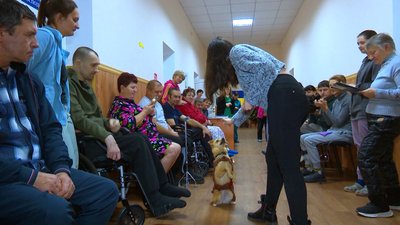 "Знімається психічна напруга": у Вінниці кінологиня проводить каністерапію для захисників "Знімається психічна напруга": у Вінниці кінологиня проводить каністерапію для захисників