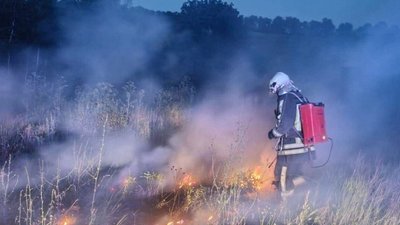 На Черкащині протягом доби дев'ять разів горів сухостій