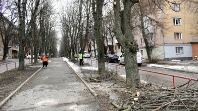 У Кропивницькому з обрізки дерев розпочали роботи на Алеї Пам’яті: які терміни облаштування У Кропивницькому з обрізки дерев розпочали роботи на Алеї Пам’яті: які терміни облаштування