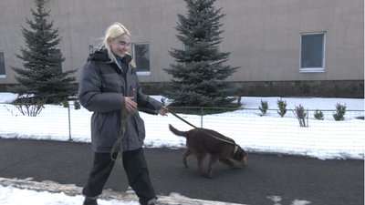 Головний обов'язок — обіймати тварин: у Центрі поводження з тваринами ввели нову посаду