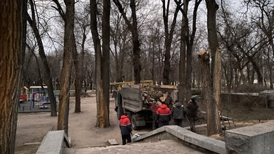 У парку Глоби у Дніпрі висадять 300 молодих дерев замість аварійних