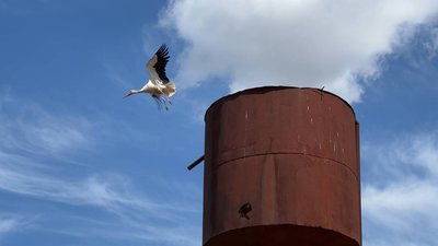 Стара водонапірна вежа у селі Знам‘янка Стара водонапірна вежа у селі Знам‘янка