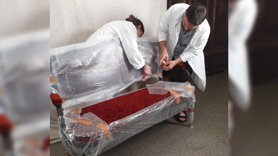 До музею Карпенка-Карого після реставрації повернули диван родини Тобілевичів