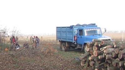 Незаконна вирубка дерев. На Миколаївщині судитимуть угрупування, до складу якої входили два депутати Незаконна вирубка дерев. На Миколаївщині судитимуть угрупування, до складу якої входили два депутати