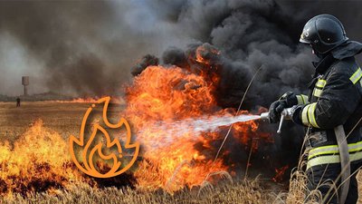 Протягом 2021 року на Миколаївщині сталося 720 пожеж на відкритих територіях. У чому причина