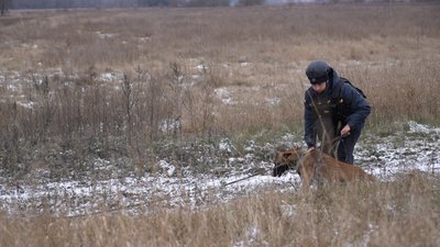 "20 км прикордоння лишається нашою болючою зоною" – як на Сумщині проводять мінно-пошукові роботи "20 км прикордоння лишається нашою болючою зоною" – як на Сумщині проводять мінно-пошукові роботи