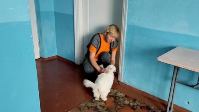 2023: За понад рік Хмельниччина зустріла 220 евакуаційних потягів з Херсону 2023: За понад рік Хмельниччина зустріла 220 евакуаційних потягів з Херсону