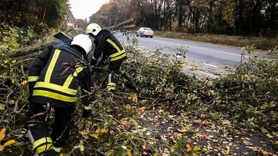 Рятувальники очищують автошлях від поваленого дерева, 28 жовтня 2023, Хмельниччина Рятувальники очищують автошлях від поваленого дерева, 28 жовтня 2023, Хмельниччина