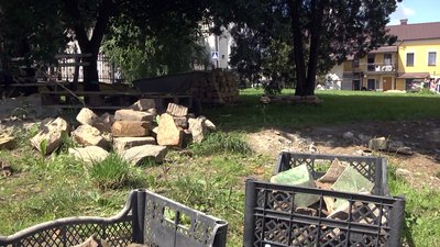 У Луцьку досліджують крипти першого римо-католицького кафедрального собору Святої Трійці У Луцьку досліджують крипти першого римо-католицького кафедрального собору Святої Трійці