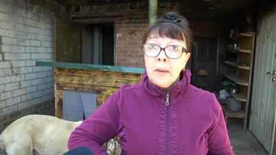 Покинуті собаки в Ізюмі на Харківщині Покинуті собаки в Ізюмі на Харківщині