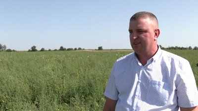 "На Рівненщині теж можна виростити гарний кавун", — агроном з Херсонщини "На Рівненщині теж можна виростити гарний кавун", — агроном з Херсонщини