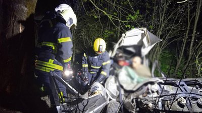 Автомобіль зіткнувся з деревом: в ДТП на Закарпатті травмувалися двоє людей Автомобіль зіткнувся з деревом: в ДТП на Закарпатті травмувалися двоє людей
