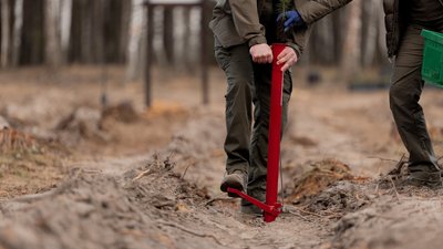 Лісівники висаджують сіянці дерев на Чернігівщині