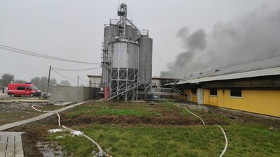 На Прикарпатті триває ліквідація пожежі свинокомплексу На Прикарпатті триває ліквідація пожежі свинокомплексу
