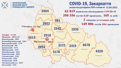 На Закарпатті за добу коронавірус діагностували одній людині