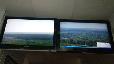 Замінування насаджень: на Харківщині пояснили заборону відвідування лісів Замінування насаджень: на Харківщині пояснили заборону відвідування лісів