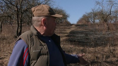 Підпали сухостою: на Рівненщині починають пропонувати гроші за упійманих паліїв
