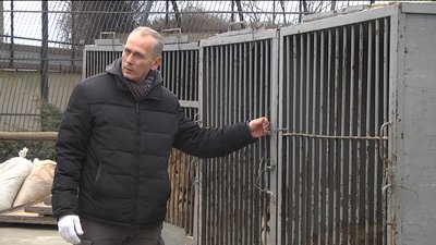 У Запорізькій області реабілітаційний центр прийняв шістьох хижаків У Запорізькій області реабілітаційний центр прийняв шістьох хижаків