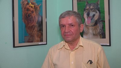 "Собака друг людини": в Одесі представили фотовиставку, присвячену собакам