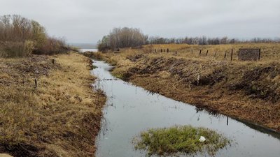 На Одещині піднявся рівень річки Дунай