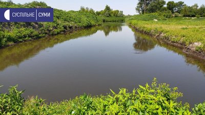 На Сумщині у ставку видобували корисні копалини На Сумщині у ставку видобували корисні копалини