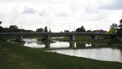 Мукачівцям рекомендують не купатися та не ловити рибу в річці Латориця
