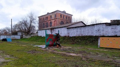 Службові собаки. У Миколаєві шість чотирилапих охоронців допомагають охороняти порядок Службові собаки. У Миколаєві шість чотирилапих охоронців допомагають охороняти порядок