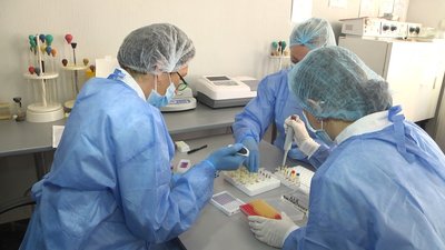 COVID-19 на Буковині: в яких районах виявили нові випадки інфікування