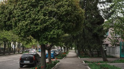 берестин