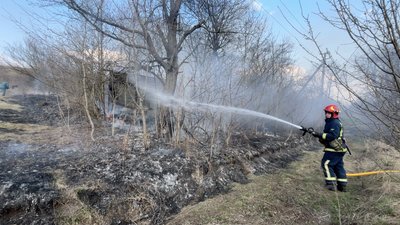 Суха трава, пожежа, екосистеми, рятувальники, Франківщина 