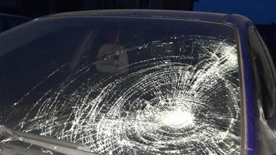 На Львівщині поліцейські розшукали водійку, яка збила пішохода та втекла з місця аварії
