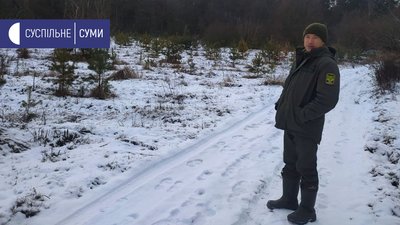Лісівники Сумщини реалізували майже всі хвойні дерева, які зрубали до Нового року Лісівники Сумщини реалізували майже всі хвойні дерева, які зрубали до Нового року