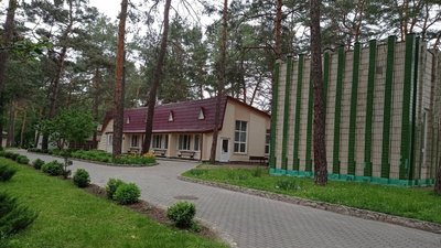 Під Сумами відкрився один дитячий табір, решта - в очікуванні послаблення карантину