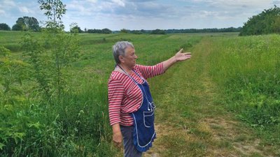 На Волині – майже 90 гектарів борщівника Сосновського. Як з ним борються у громадах На Волині – майже 90 гектарів борщівника Сосновського. Як з ним борються у громадах